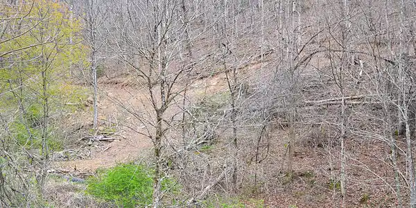 Image 4: Numerous Trails