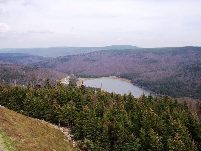 Image 3: fall view