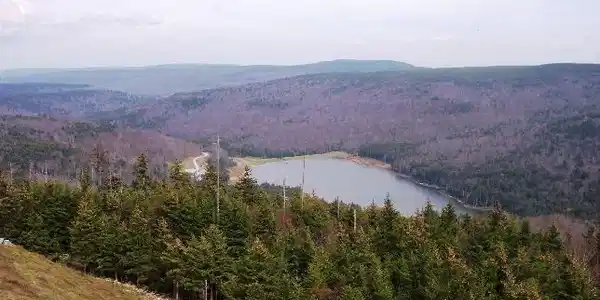 Image 3: fall view