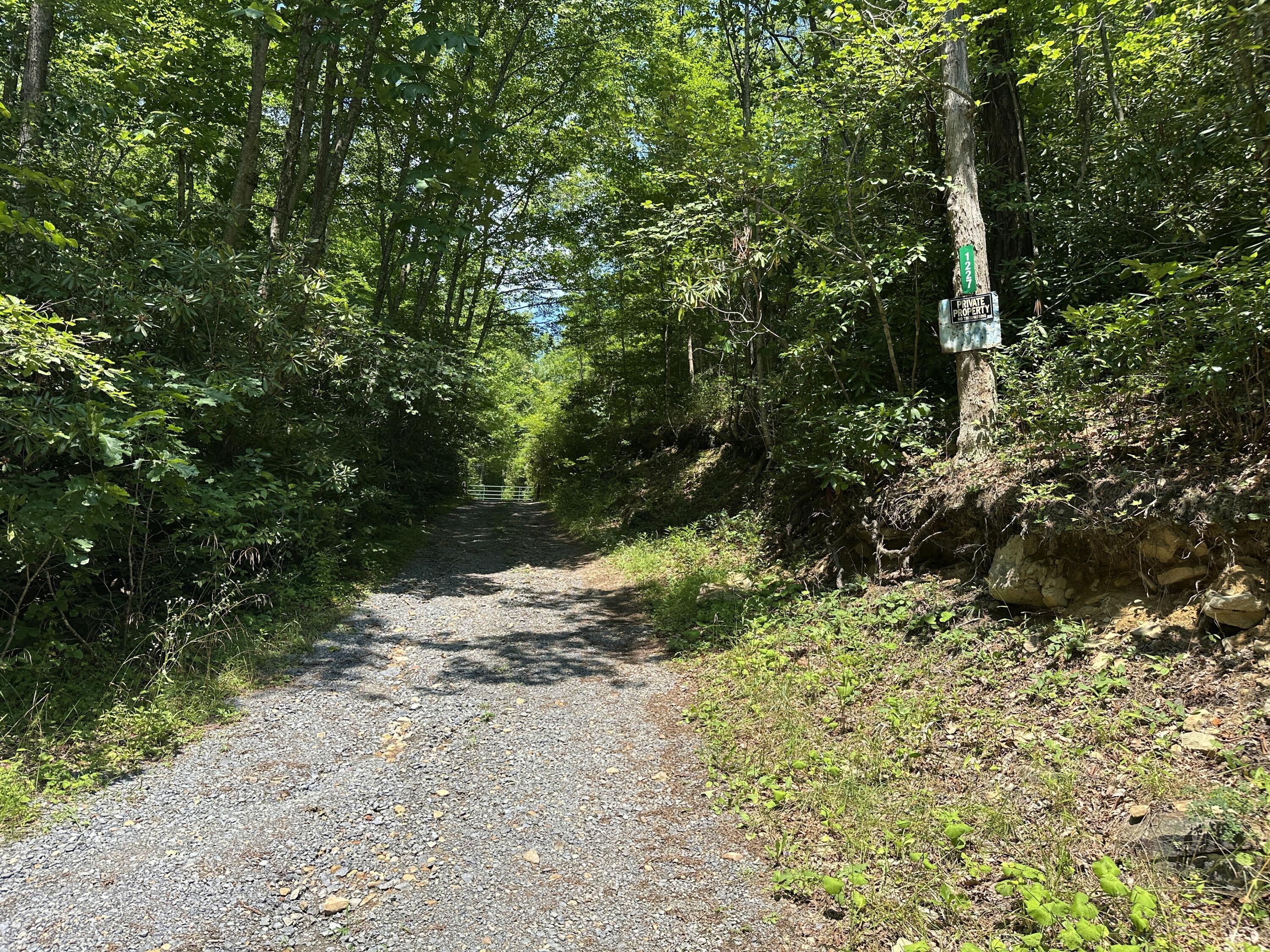 Image 4: Keister Road