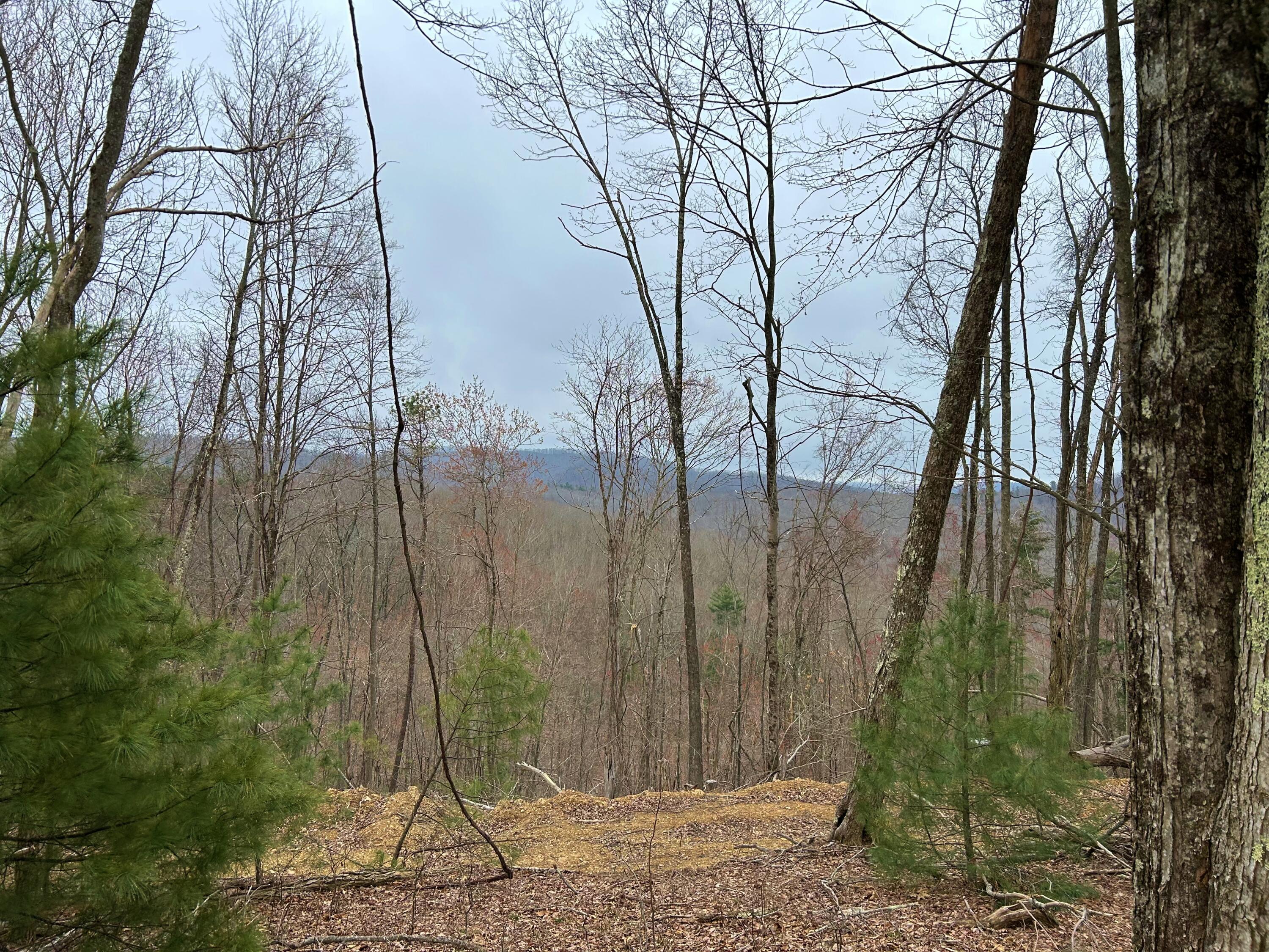 Image 2: Cub House Road