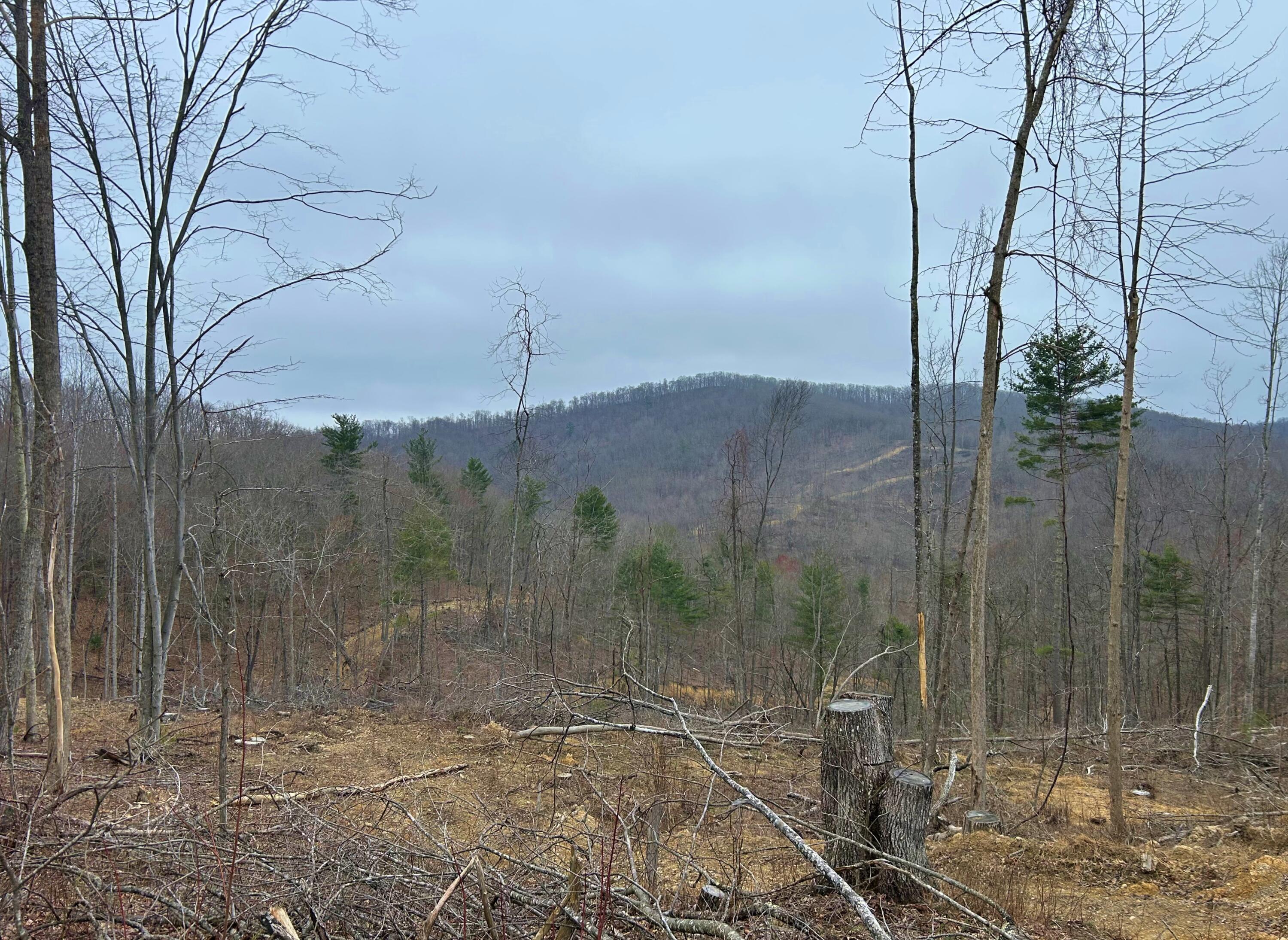 Image 3: Cub House Road