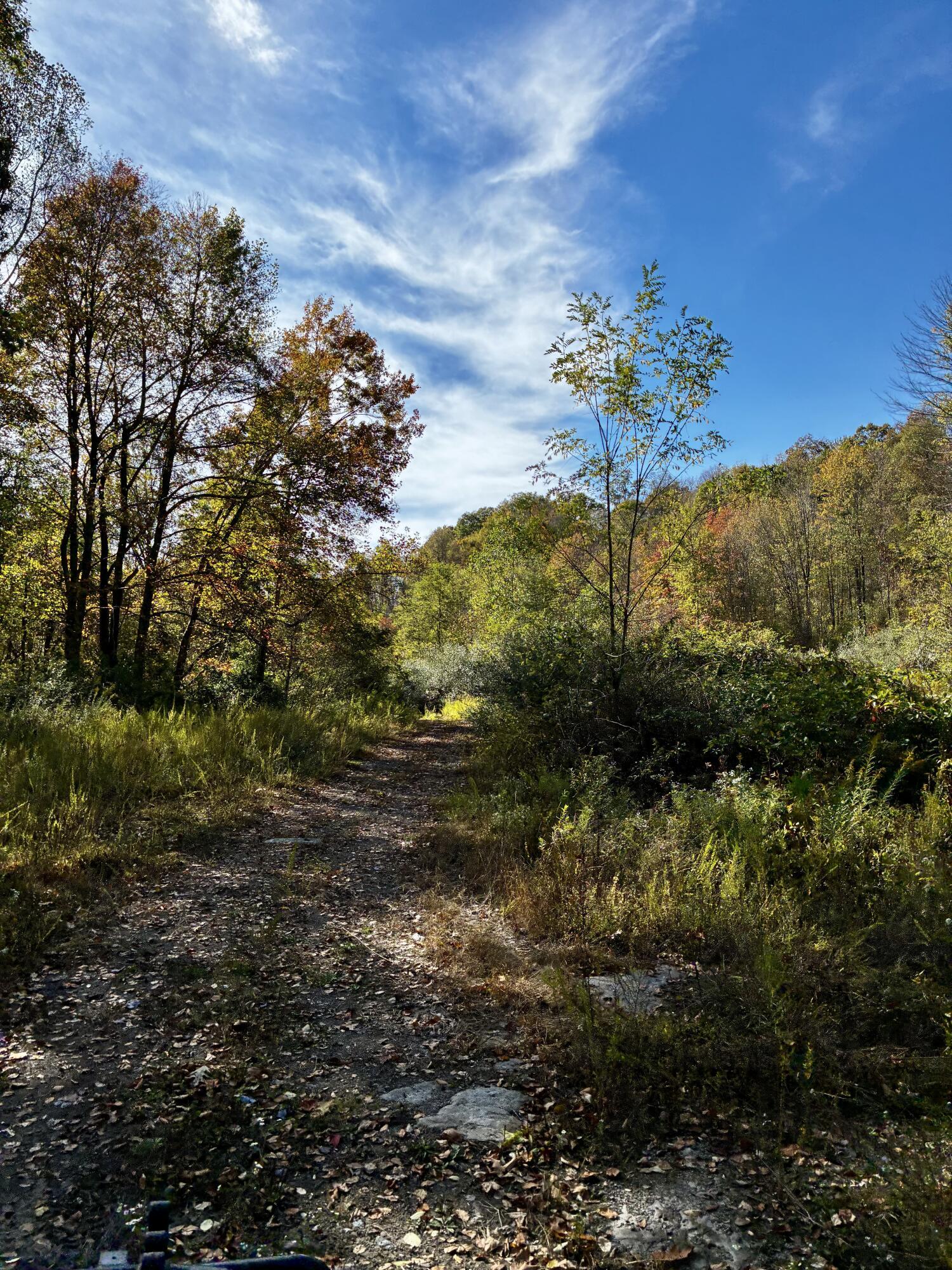 Image 1: Rt. 19 Hominy Creek