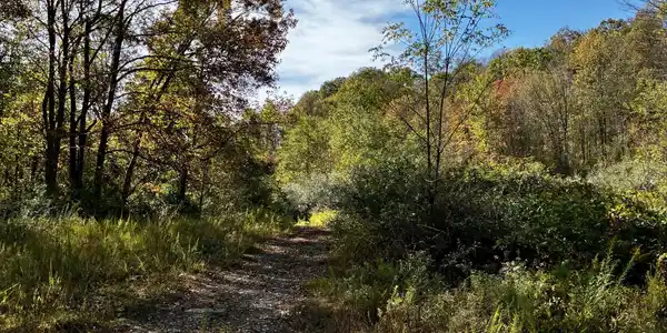 Rt. 19 Hominy Creek