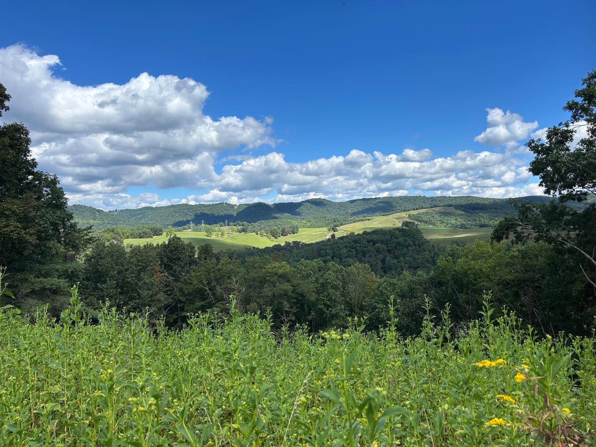 Image 1: Sewell Creek pic 1