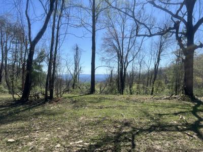 Tract 2 River Hills Farm Drive