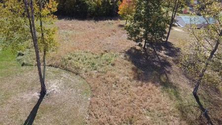 Lot 54 Bee Tree Ln