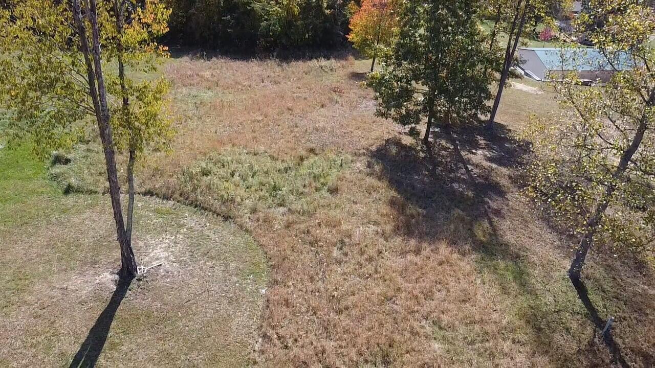 Image 1: aerial view