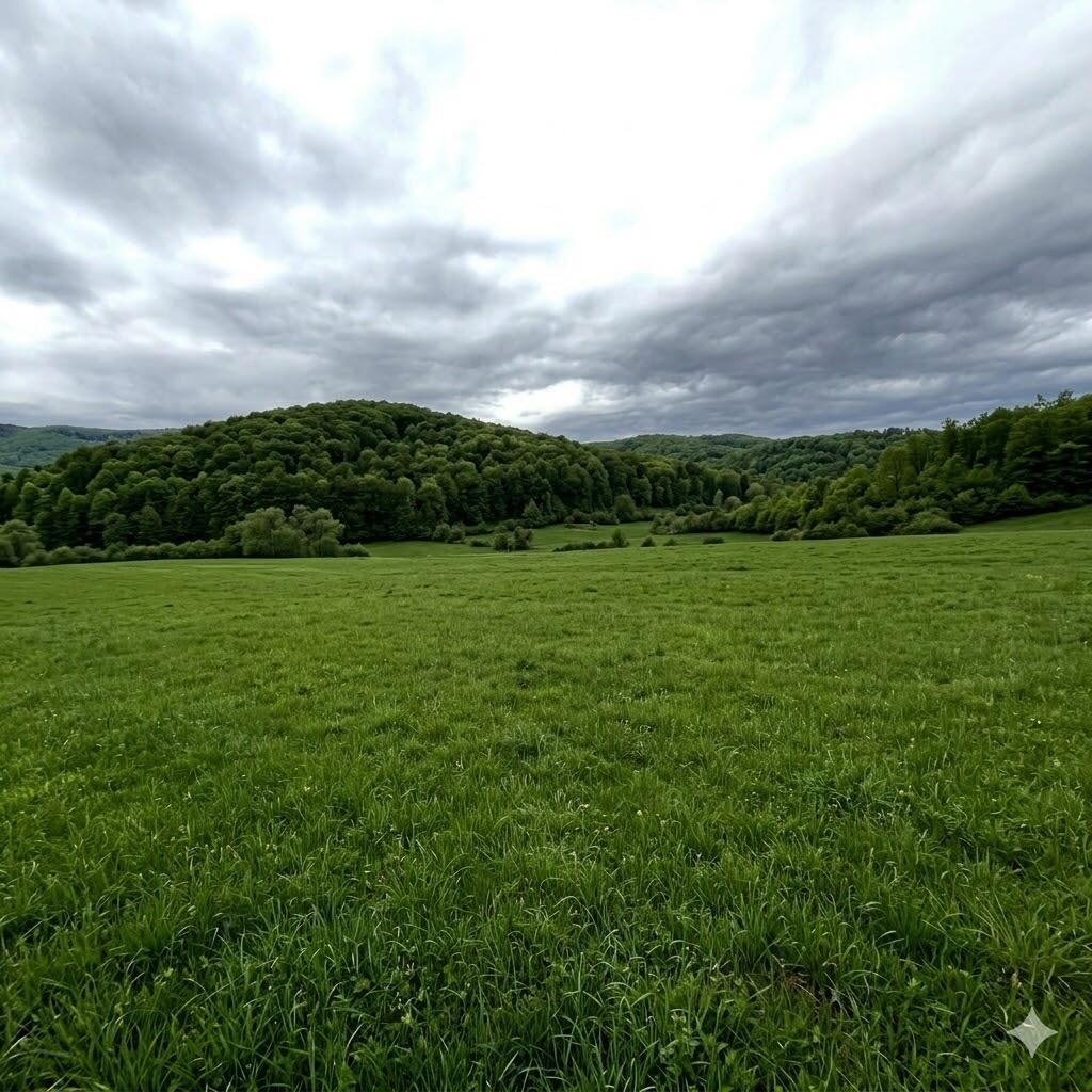 Image 3: Pic 3