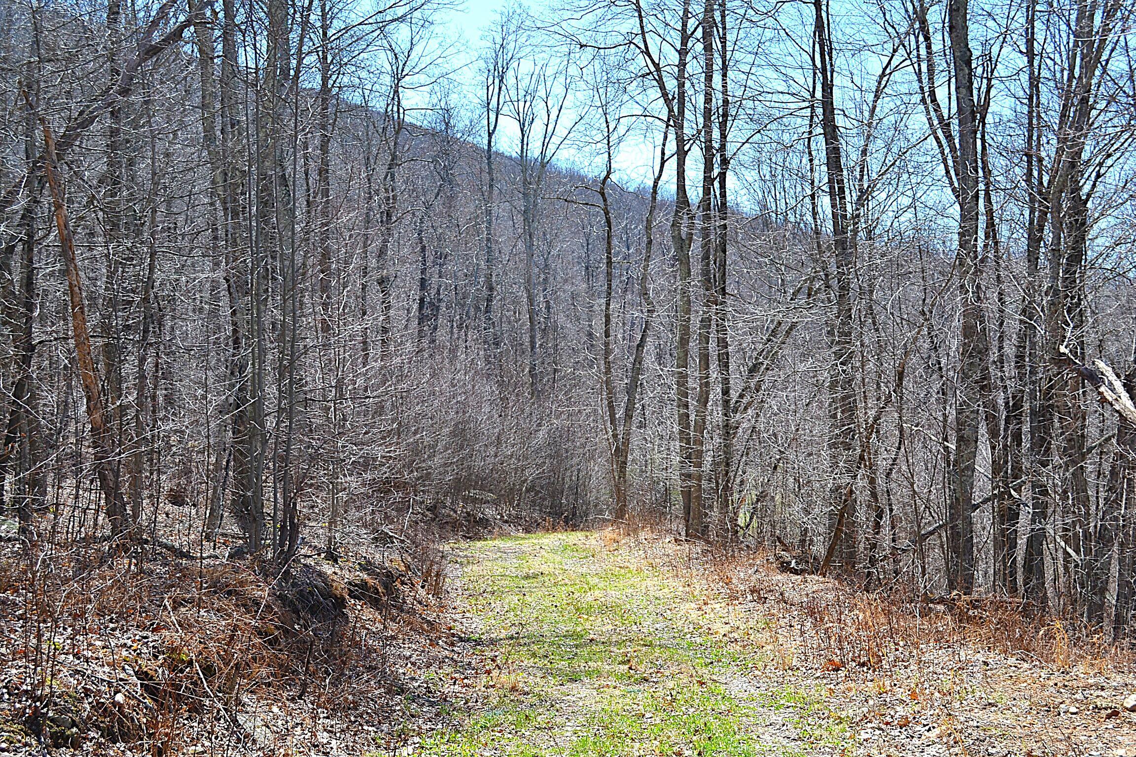 Image 2: 1 Of 3-4 Trails On The Prpoperty