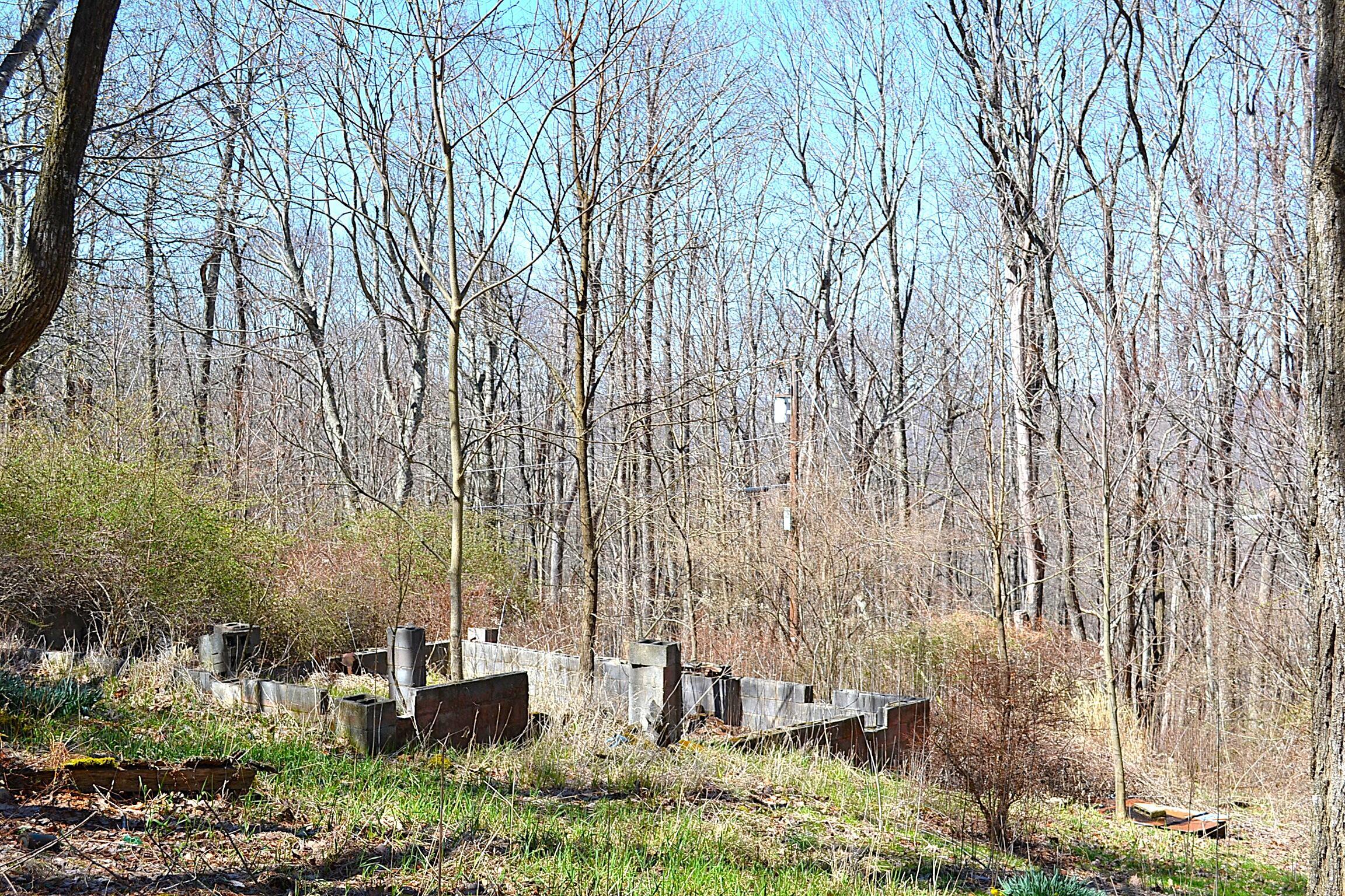 Image 3: Old Cabin Foundation