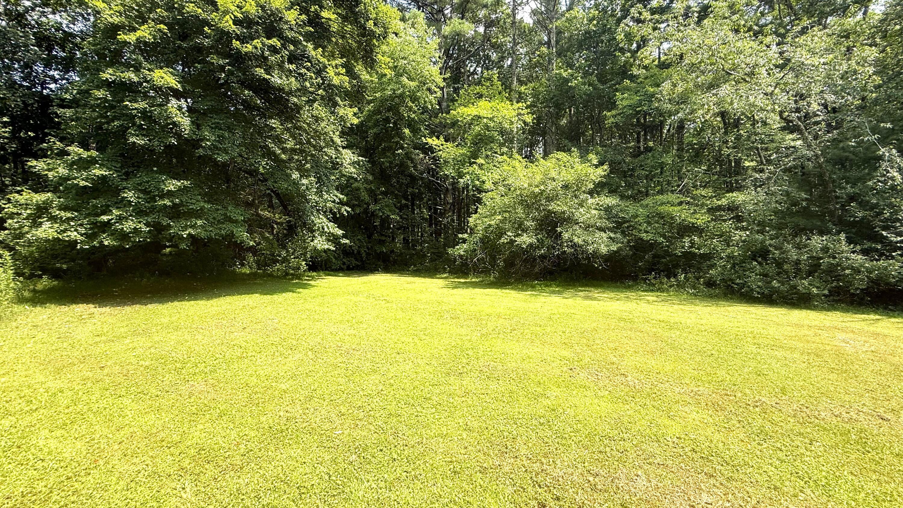 Image 3: IMG_0766 (002)