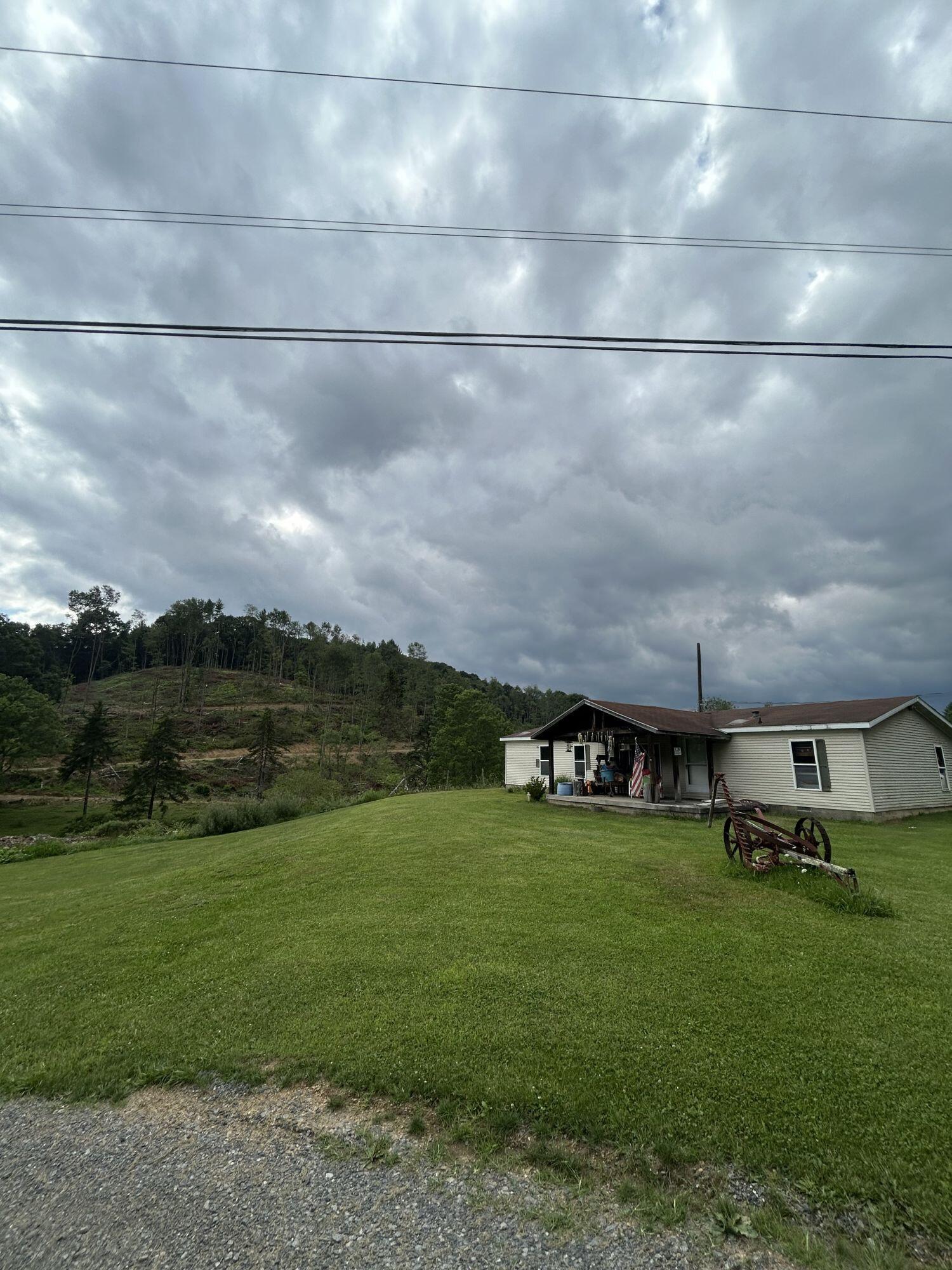 Image 2: image 805375
