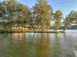 Lot 10 GIBBINS Trail
