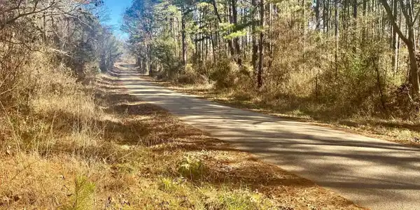930 COX CREEK