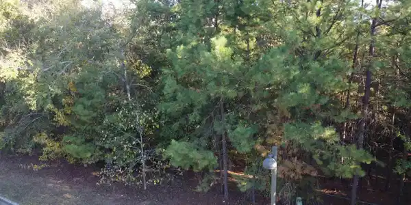 000 DELLMERE