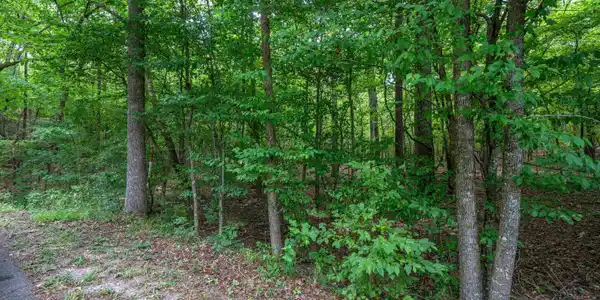 Lot 16 DEER RUN