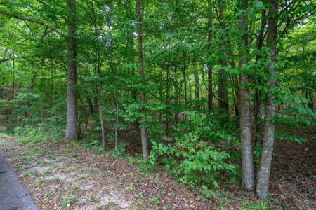 Lot 44 FOX RUN