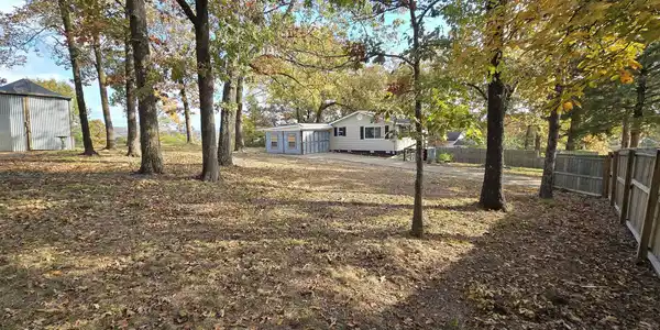 210 DANDELION