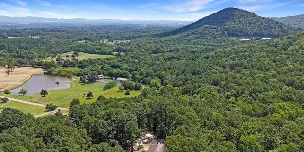 278 TRAP MOUNTAIN Road