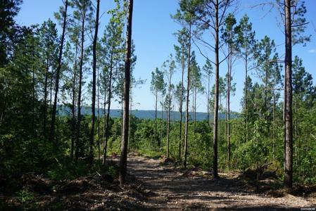 XXX PALMER MOUNTAIN Road Lot Lot 1