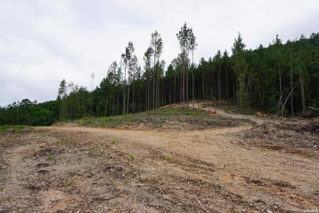 XXX PALMER MOUNTAIN Road Lot Lot 2