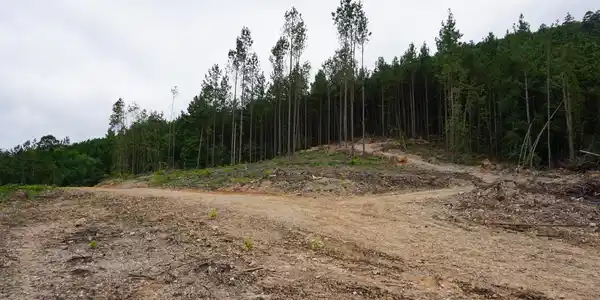 XXX PALMER MOUNTAIN Road Lot Lot 2