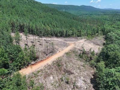 XXX PALMER MOUNTAIN Road Lot Lot 3