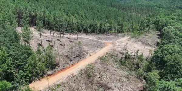 XXX PALMER MOUNTAIN Road Lot Lot 3