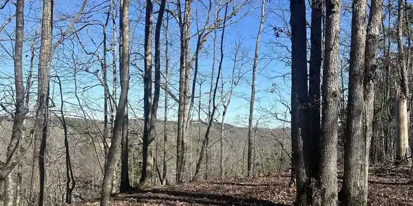 00M WALNUT VALLEY Road