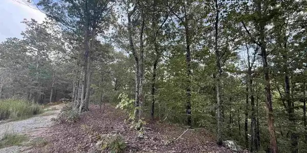 321 PLATA HOLLOW