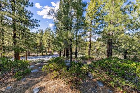 1205 Douglas Fir Drive