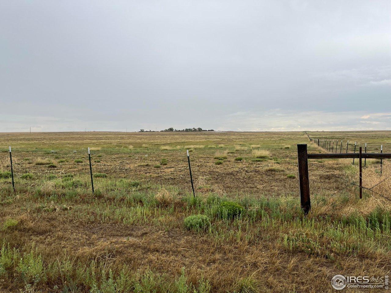 Image 2: Wire Fencing Image 2: Wire Fencing