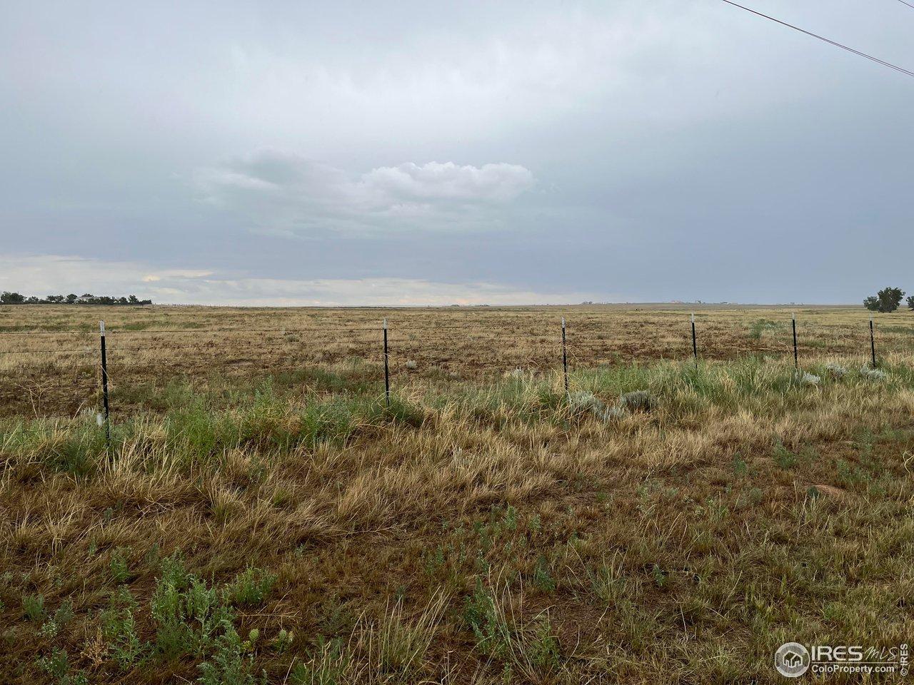 Image 3: Open space for all your livestock/animals Image 3: Open space for all your livestock/animals