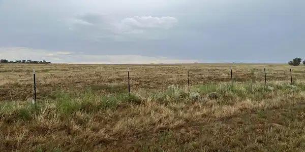 Image 3: Open space for all your livestock/animals