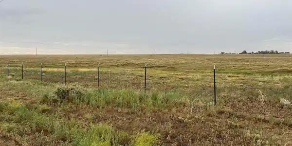 Image 4: 25 acres can be yours