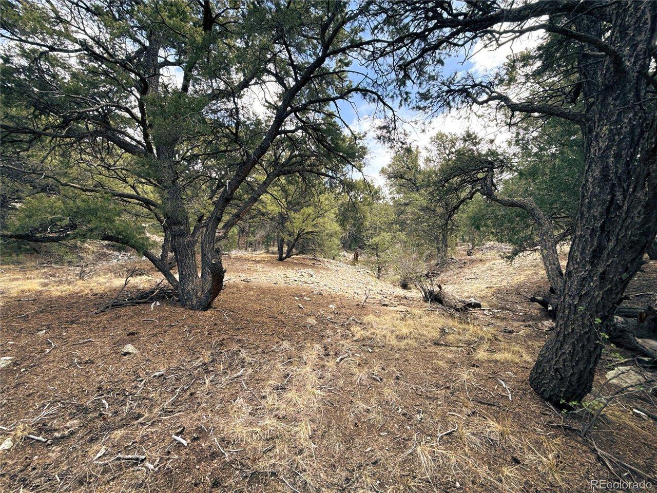 Image 3 Image 3