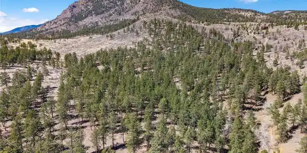 Image 3 Image 3