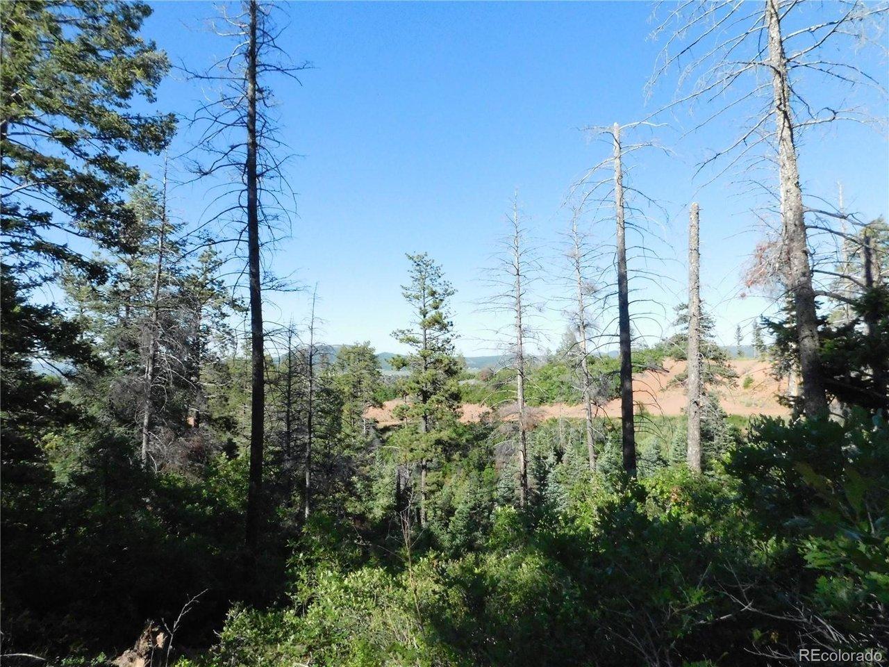 Image 4 Image 4
