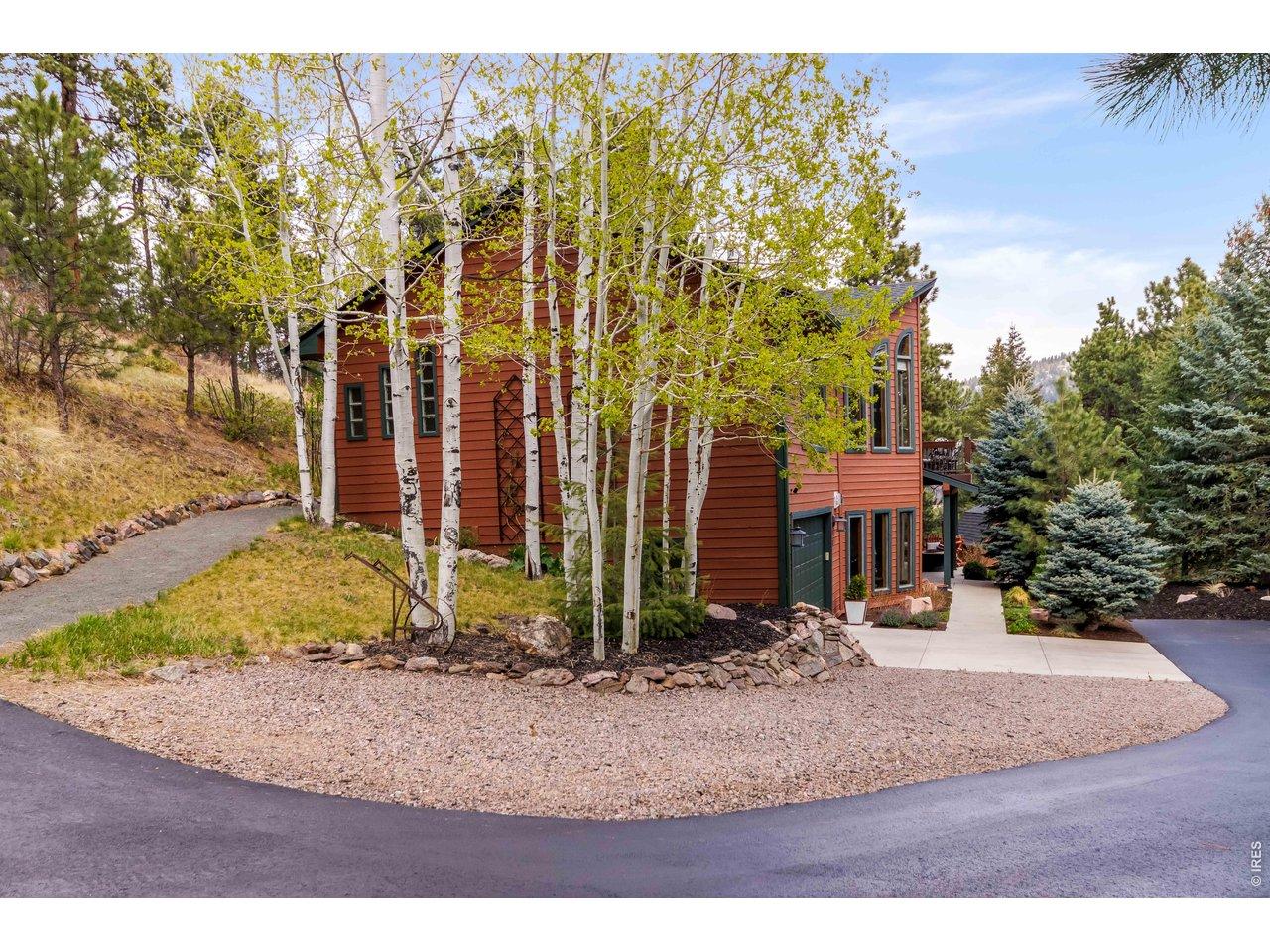 Image 3: Beautiful Landscape with Aspens and Evergreens Image 3: Beautiful Landscape with Aspens and Evergreens