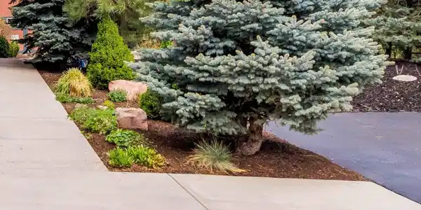 Image 4: Welcome Home! Image 4: Welcome Home!
