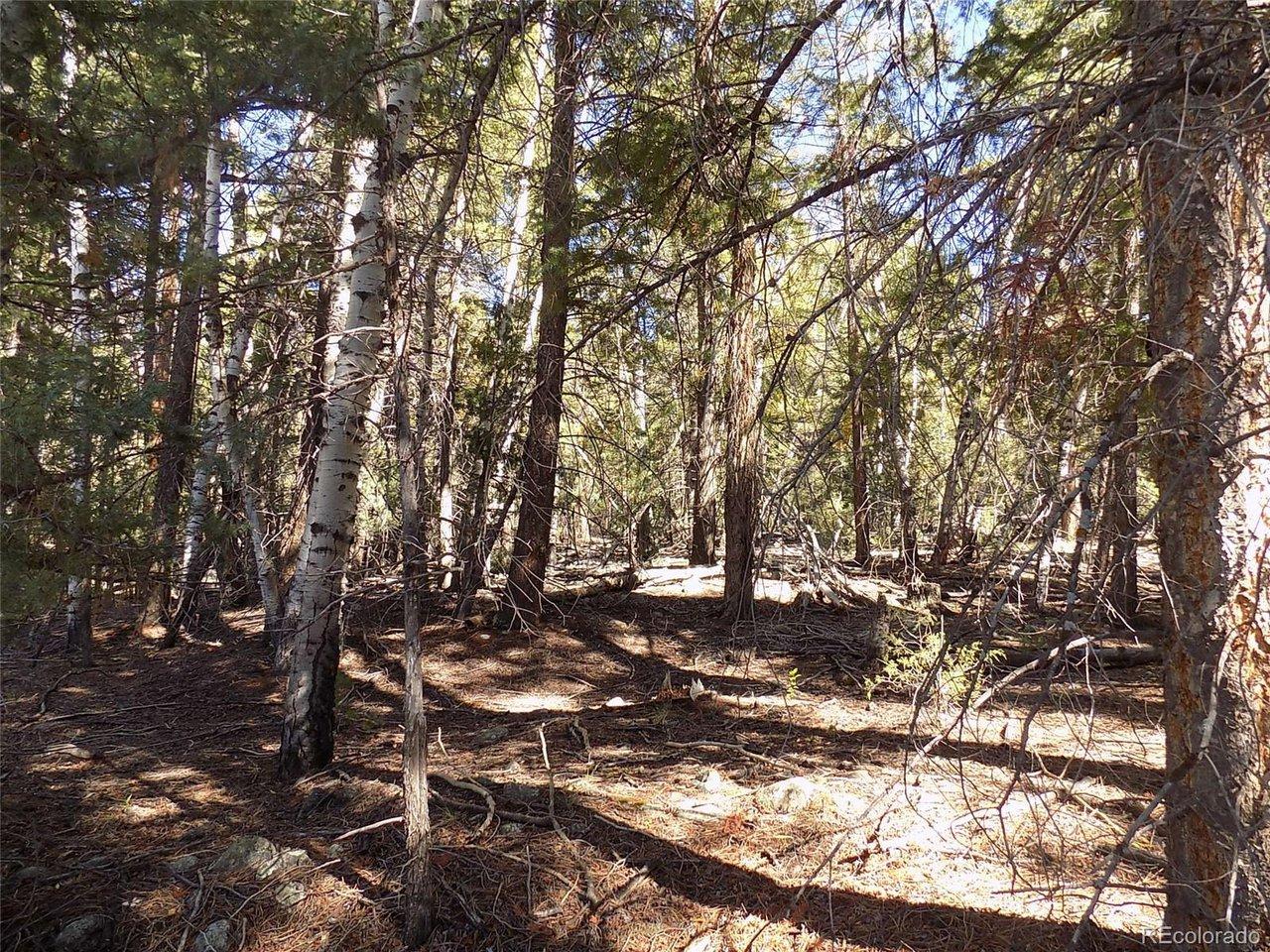 Image 4 Image 4