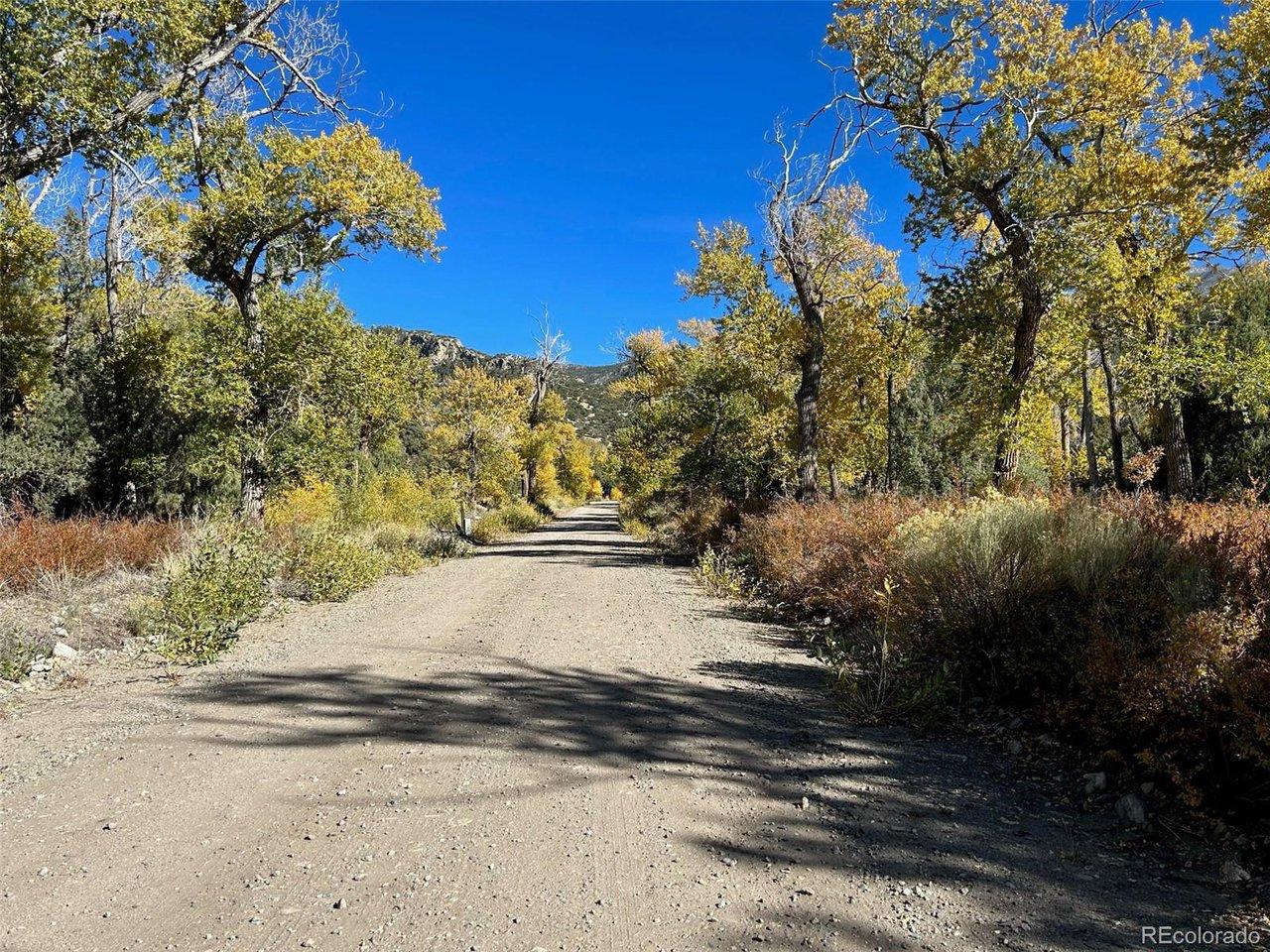Image 2: The road surrounded by a mixed tree line, Aspens, Cottonwoods, Junipers, and Pinon.