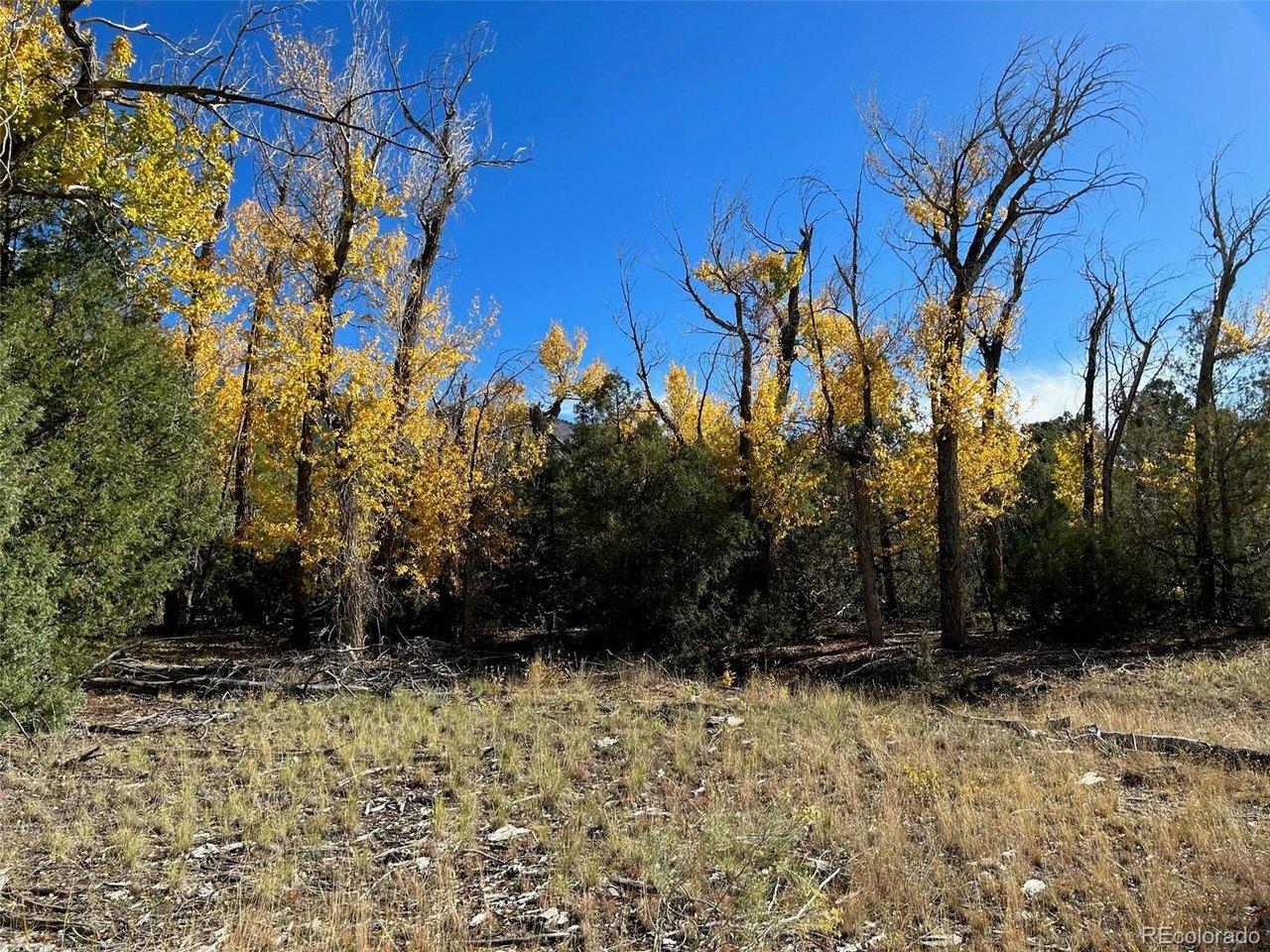 Image 3: An extended view of the meadow area looking south.