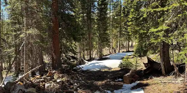 Image 2: Wooded lot featuring mature evergreen trees and remnants of snow cover and filtered mountain views Image 2: Wooded lot featuring mature evergreen trees and remnants of snow cover and filtered mountain views