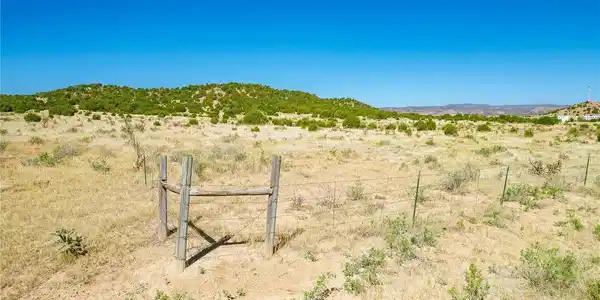 Image 3 Image 3