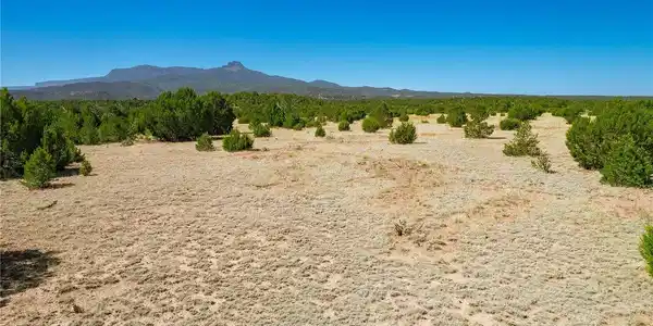 Image 4 Image 4