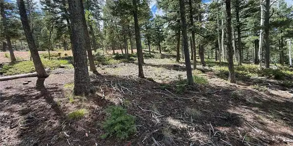 Image 3: Build site