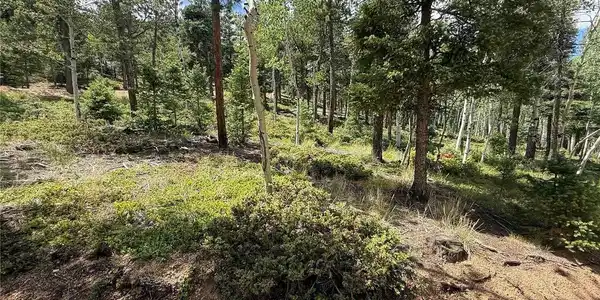 Image 4: Future driveway location
