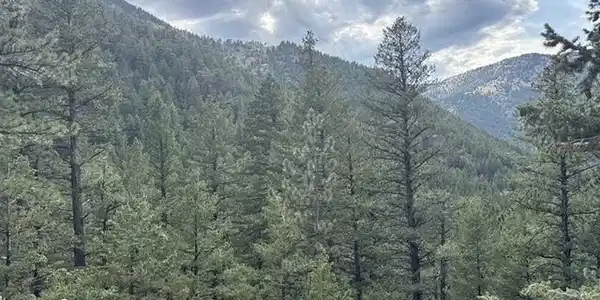 Image 3: view Image 3: view